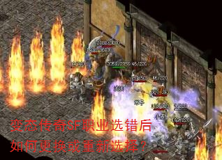 ��̬����SFְҵѡ������θ���������ѡ��