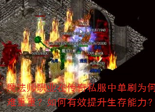 ħ��ʦְҵ�ڴ���˽���е�ˢΪ���������أ������Ч��������������