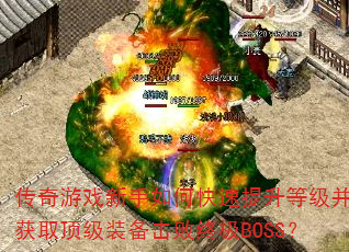 ������Ϸ������ο��������ȼ�����ȡ����װ�������ռ�BOSS��
