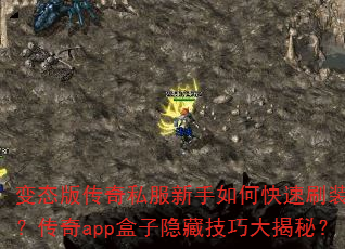 ��̬�洫��˽��������ο���ˢװ��������app�������ؼ��ɴ���أ�