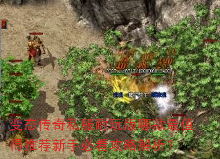 变态传奇私服耐玩版哪款最值得推荐新手必看攻略解析? 变态传奇私服耐玩版哪款最值得推荐新手必看攻略解析?