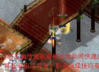 185玉兔传奇私服耐玩版如何快速升级并获取极品装备?职业选择技巧有哪些? 185玉兔传奇私服耐玩版如何快速升级并获取极品装备?职业选择技巧有哪些?
