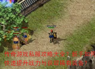 传奇游戏私服攻略大全?新手如何快速提升战力与获取稀有装备? 传奇游戏私服攻略大全?新手如何快速提升战力与获取稀有装备?