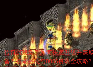 传奇游戏新手如何快速升级并获取顶级装备?技能搭配与BOSS挑战全攻略? 传奇游戏新手如何快速升级并获取顶级装备?技能搭配与BOSS挑战全攻略?