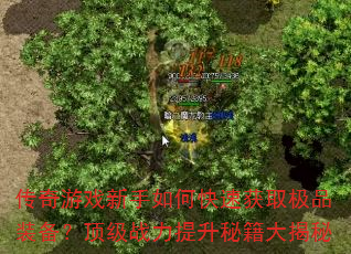 传奇游戏新手如何快速获取极品装备?顶级战力提升秘籍大揭秘 传奇游戏新手如何快速获取极品装备?顶级战力提升秘籍大揭秘