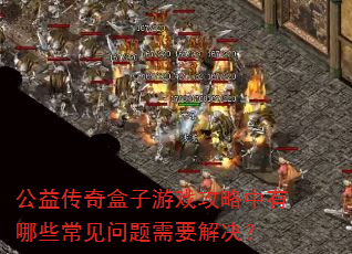 公益传奇盒子游戏攻略中有哪些常见问题需要解决? 公益传奇盒子游戏攻略中有哪些常见问题需要解决?