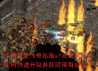 手机轻变传奇私服sf发布网新手如何快速升级并获取稀有装备? 手机轻变传奇私服sf发布网新手如何快速升级并获取稀有装备?