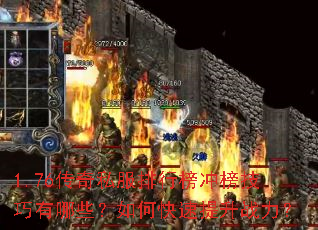 1.76����˽�����а���������Щ����ο�������ս����