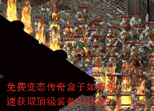 ��ѱ�̬���������ο��ٻ�ȡ����װ���뼼�ܣ�