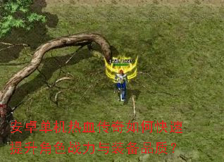 安卓单机热血传奇如何快速提升角色战力与装备品质? 安卓单机热血传奇如何快速提升角色战力与装备品质?