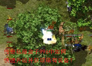 传奇私服盒子996中如何快速升级并获取稀有装备? 传奇私服盒子996中如何快速升级并获取稀有装备?