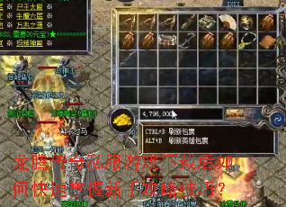 龙腾传奇私服游戏下载后如何快速掌握新手攻略技巧? 龙腾传奇私服游戏下载后如何快速掌握新手攻略技巧?
