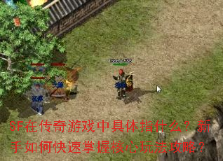 SF在传奇游戏中具体指什么?新手如何快速掌握核心玩法攻略? SF在传奇游戏中具体指什么?新手如何快速掌握核心玩法攻略?