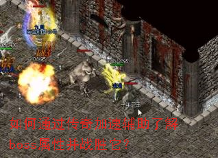 如何通过传奇加速辅助了解boss属性并战胜它? 如何通过传奇加速辅助了解boss属性并战胜它?