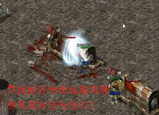 寻找新开传奇私服有哪些高效方法与技巧? 寻找新开传奇私服有哪些高效方法与技巧?