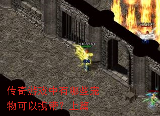 传奇游戏中有哪些宠物可以携带?上篇 传奇游戏中有哪些宠物可以携带?上篇