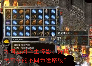 如何应对孪生怪影在好玩传奇中的不同命运路线? 如何应对孪生怪影在好玩传奇中的不同命运路线?