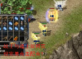 战士与道士如何实现完美合击配合? 战士与道士如何实现完美合击配合?