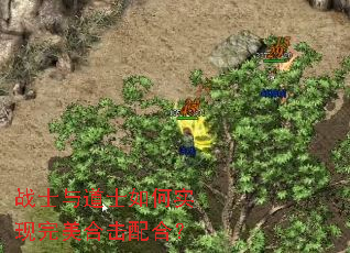 战士与道士如何实现完美合击配合? 战士与道士如何实现完美合击配合?