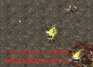 1.85王者合击千人激情传奇辅助免费版真的存在吗? 1.85王者合击千人激情传奇辅助免费版真的存在吗?