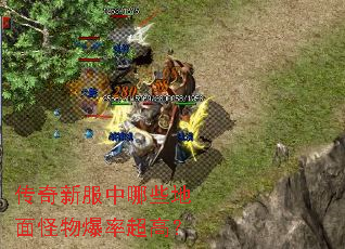 传奇新服中哪些地面怪物爆率超高? 传奇新服中哪些地面怪物爆率超高?