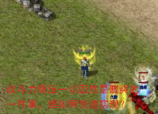 战斗力碾压一切固然是贼爽的一件事,但如何快速实现? 战斗力碾压一切固然是贼爽的一件事,但如何快速实现?