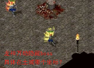 龙神万劫隐藏boss具体在土城哪个坐标? 龙神万劫隐藏boss具体在土城哪个坐标?