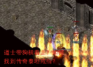 道士带狗横着走?如何找到传奇泰坦戒指? 道士带狗横着走?如何找到传奇泰坦戒指?