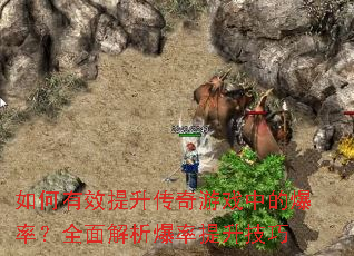 �����Ч����������Ϸ�еı��ʣ�ȫ�����������������