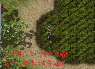 还在寻找良心传奇网站?这些攻略技巧助你避坑 还在寻找良心传奇网站?这些攻略技巧助你避坑