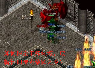 如何探索未知领域,成就怀旧传奇荣耀之路? 如何探索未知领域,成就怀旧传奇荣耀之路?