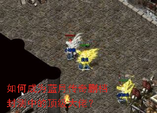 如何成为蓝月传奇删档封测中的顶级大佬? 如何成为蓝月传奇删档封测中的顶级大佬?