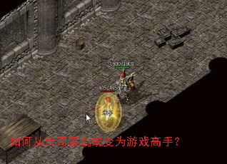 如何从传奇菜鸟蜕变为游戏高手? 如何从传奇菜鸟蜕变为游戏高手?