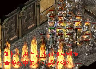 如何运用圣言术有效克制传奇游戏中的不死系怪物? 如何运用圣言术有效克制传奇游戏中的不死系怪物?
