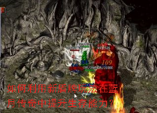 如何利用新盾牌玩法在蓝月传奇中提升生存能力? 如何利用新盾牌玩法在蓝月传奇中提升生存能力?