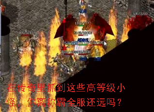 在传奇里抓到这些高等级小怪,你离称霸全服还远吗? 在传奇里抓到这些高等级小怪,你离称霸全服还远吗?