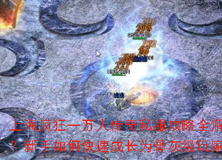 上海疯狂一万人传奇私服攻略全解?新手如何快速成长为骨灰级玩家 上海疯狂一万人传奇私服攻略全解?新手如何快速成长为骨灰级玩家
