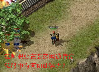 法师职业在变态网通传奇私服中为何如此强大? 法师职业在变态网通传奇私服中为何如此强大?