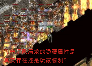 �����Ĭ������������������ʵ���ڻ�������ܲ⣿