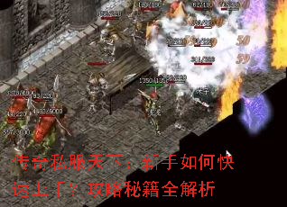 传奇私服天下:新手如何快速上手?攻略秘籍全解析 传奇私服天下:新手如何快速上手?攻略秘籍全解析