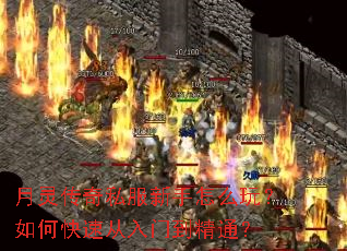 ���鴫��˽��������ô�棿��ο��ٴ����ŵ���ͨ��