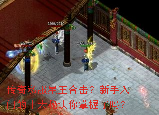 传奇私服星王合击?新手入门的十大秘诀你掌握了吗? 传奇私服星王合击?新手入门的十大秘诀你掌握了吗?