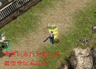 哪些玩家行为最让热血传奇玩家反感? 哪些玩家行为最让热血传奇玩家反感?