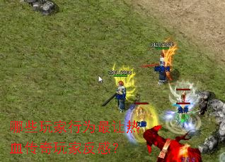 哪些玩家行为最让热血传奇玩家反感? 哪些玩家行为最让热血传奇玩家反感?