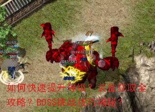如何快速提升等级?装备获取全攻略?BOSS挑战技巧揭秘? 如何快速提升等级?装备获取全攻略?BOSS挑战技巧揭秘?