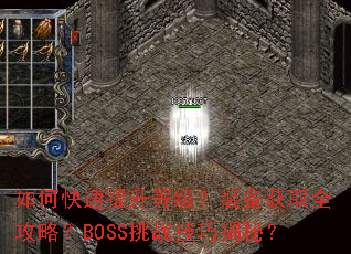 如何快速提升等级?装备获取全攻略?BOSS挑战技巧揭秘? 如何快速提升等级?装备获取全攻略?BOSS挑战技巧揭秘?