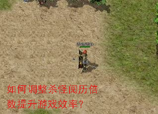 如何调整杀怪阅历倍数提升游戏效率? 如何调整杀怪阅历倍数提升游戏效率?
