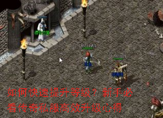 如何快速提升等级?新手必看传奇私服高效升级心得 如何快速提升等级?新手必看传奇私服高效升级心得