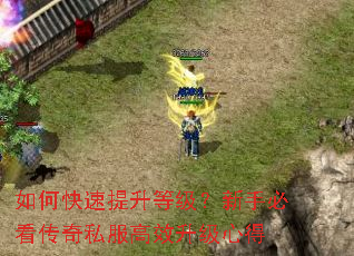 如何快速提升等级?新手必看传奇私服高效升级心得 如何快速提升等级?新手必看传奇私服高效升级心得