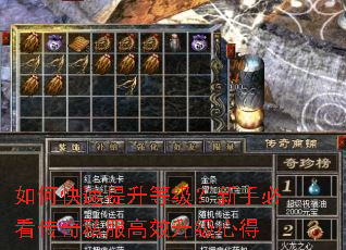 如何快速提升等级?新手必看传奇私服高效升级心得 如何快速提升等级?新手必看传奇私服高效升级心得